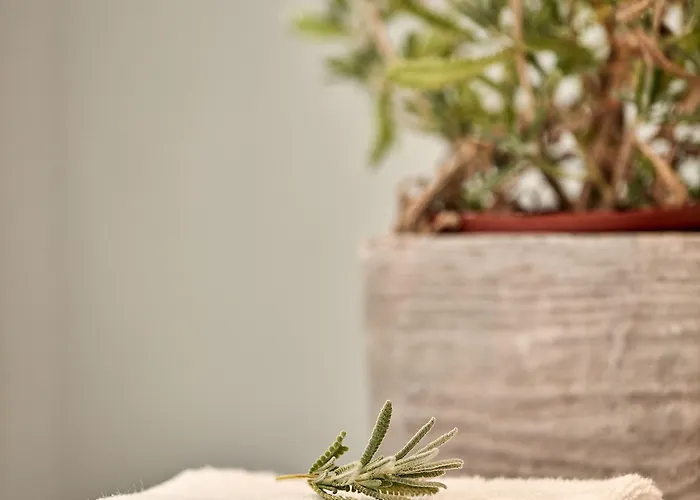 Guest house Boho Private Luxury Mykonos Town