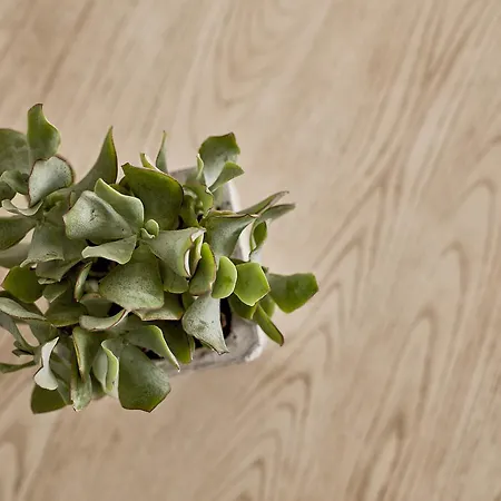 Boho Private Luxury Mykonos Town