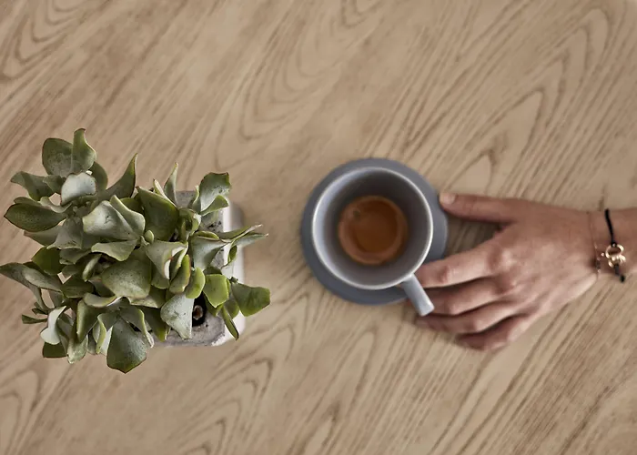 Konukevi Boho Private Luxury 4*