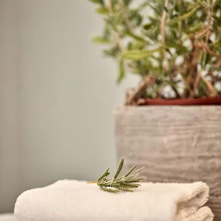 بيت ضيافة Boho Private Luxury Mykonos Town